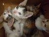 IMG-20160927-WA0001.jpg