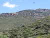 IMG_5517.JPG
