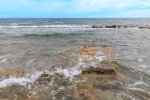 IMG_0286.jpeg