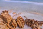 IMG_0289.jpeg