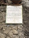 IMG_9339.jpeg