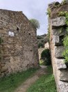 IMG_9301.jpeg