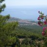 birog