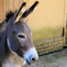 Sardinien urlaub