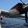 AberteuerWasserfliegen