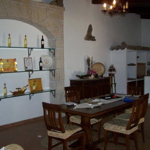 TONDINI.JPG