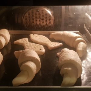 20201227_050940.jpg
