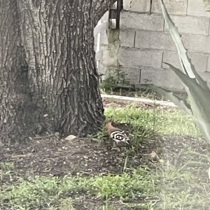 IMG_9166.jpeg