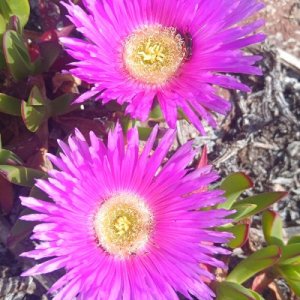 IMG_20260416_102714_276.jpg