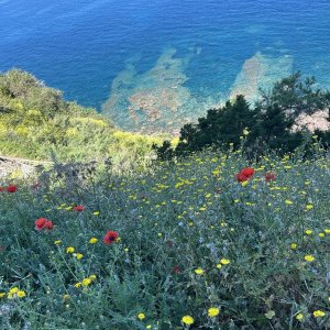 IMG_1822.jpeg