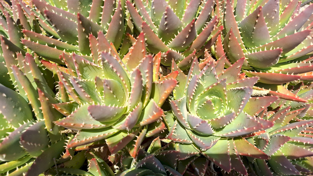 20260418_141809.jpg