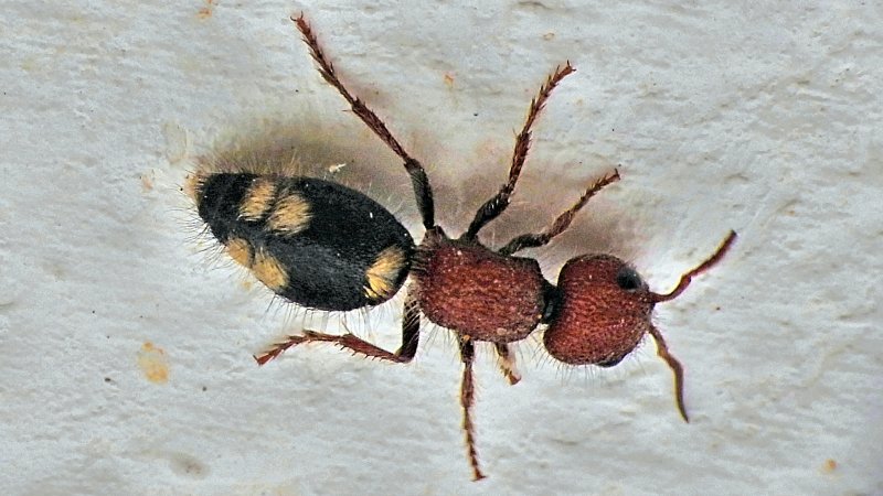 DSCN1465.JPG