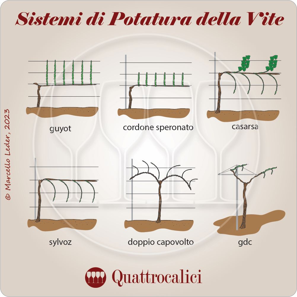 www.quattrocalici.it